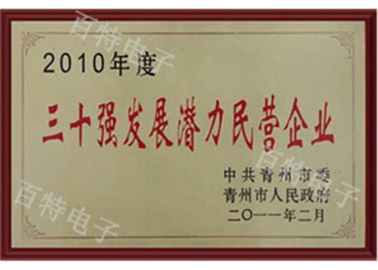 2010年度三十强发展潜力民营企业